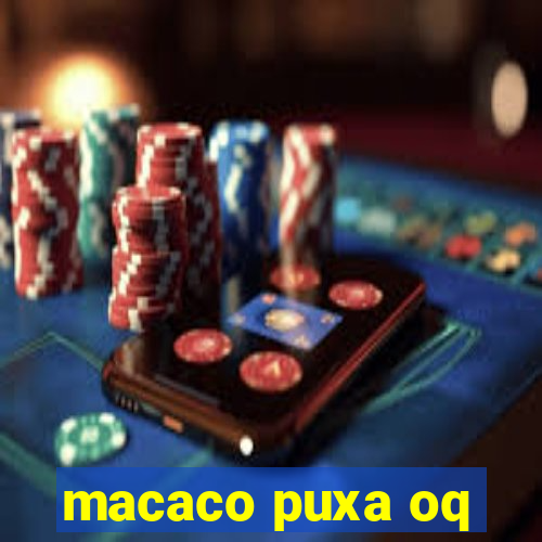 macaco puxa oq